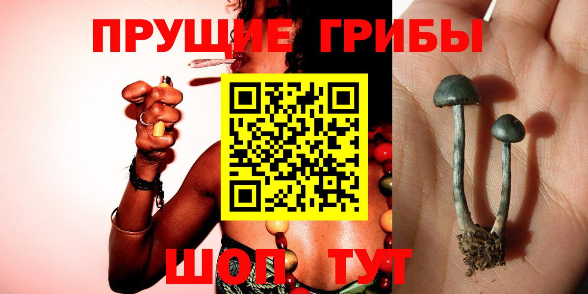 Псилоцибиновые грибы ЛСД Коломна